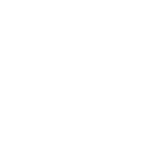 Transporting We fast transport