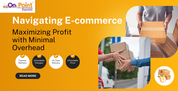Navigating E-commerce: Maximizing Profit with Minimal Overhead